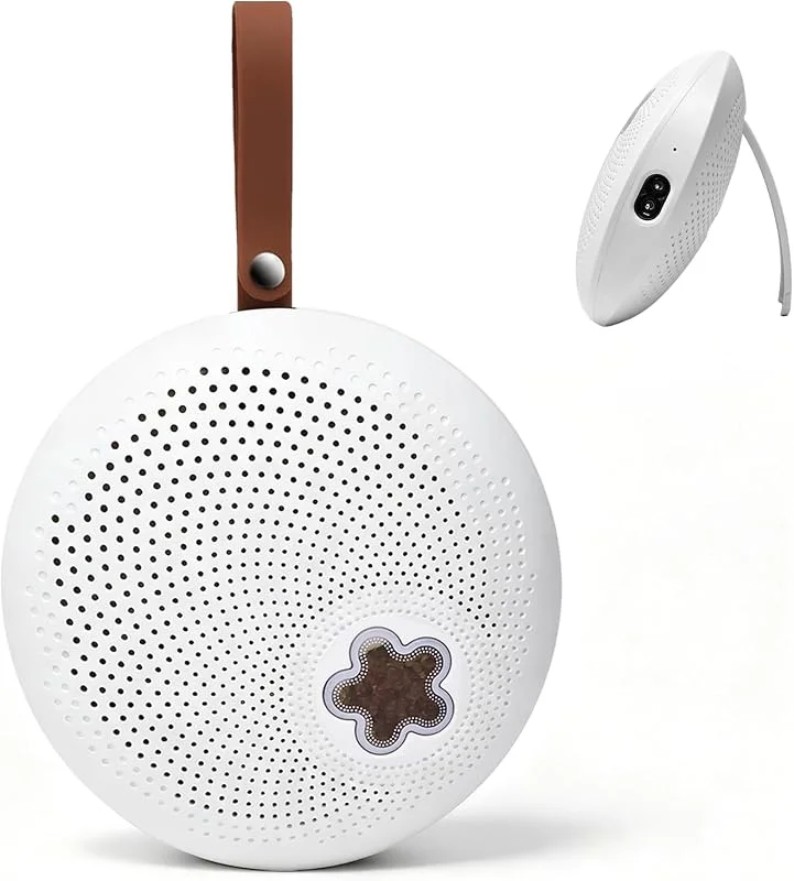 Deshumidificador pequeno elétrico, mini desumidificadores de humidade
